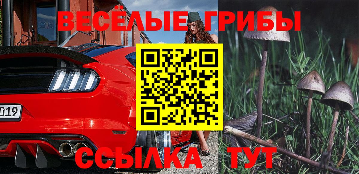 Галлюциногенные грибы MAGIC MUSHROOMS Егорьевск